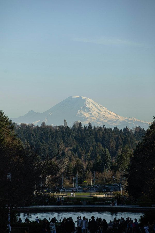 Maximizing Your Smartphone: Get Real-Time Traffic Alerts Like a Pro!